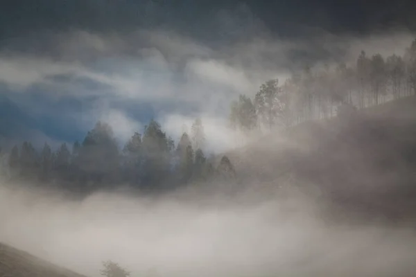 Mlhavá Letní Krajina Horách Salciua Rumunsko — Stock fotografie