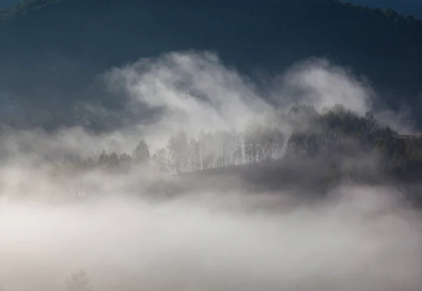 山の霧の夏の風景 サルシア ルーマニア — ストック写真