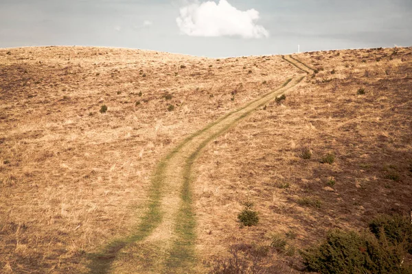 Strada Verde Una Collina — Foto Stock