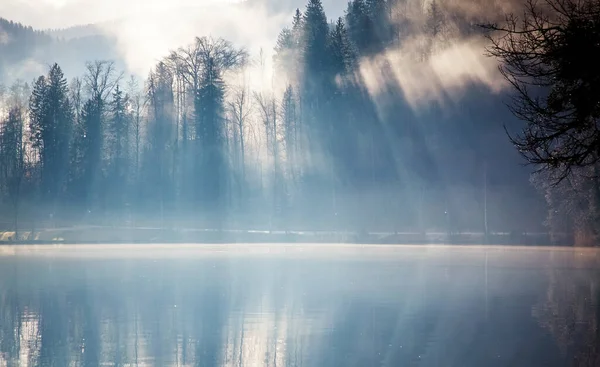 Matin Automne Brumeux Sur Lac Bled Slovénie — Photo