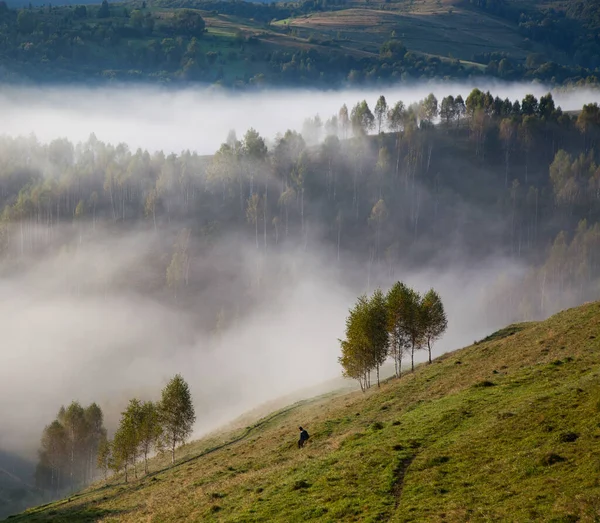 Paysage Estival Brumeux Dans Les Montagnes Salciua Roumanie — Photo