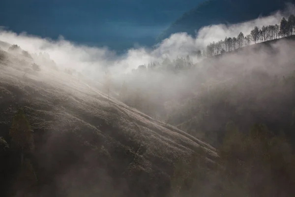 Mlhavá Letní Krajina Horách Salciua Rumunsko — Stock fotografie