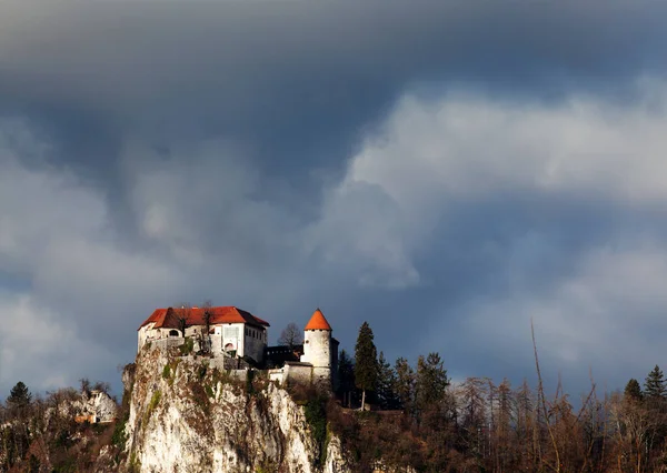 Château Médiéval Bled Slovénie — Photo