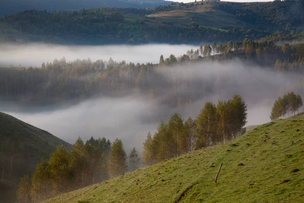 Foggy Summer Landscape Mountains Salciua Romania — Stock Photo, Image