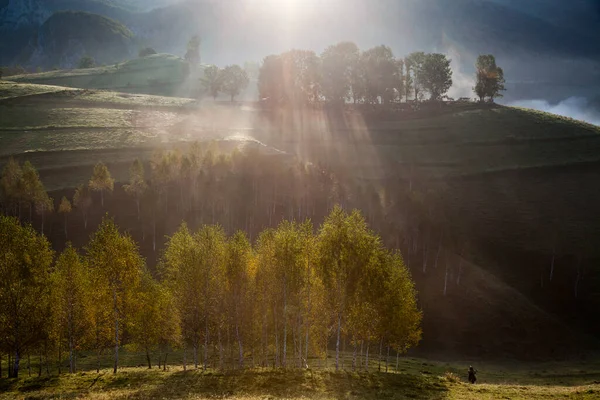 Nebbioso Paesaggio Estivo Montagna Salciua Romania — Foto Stock