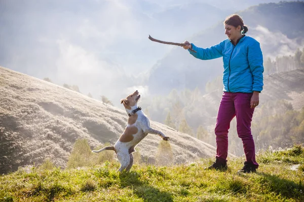 Mujer Jugando Con Perro Hermosos Paisajes Montaña Primavera —  Fotos de Stock