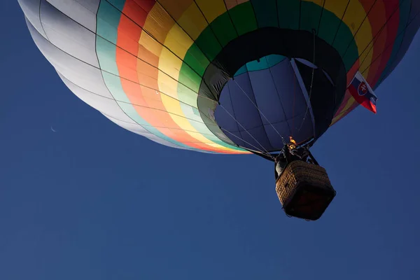 Varmluftsballonger Frihet Och Äventyrskoncept — Stockfoto