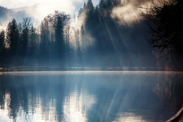 Mistige Herfstochtend Aan Het Meer Van Bled Slovenië — Stockfoto