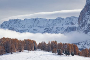 Alpe di Siusi 'deki karlı kış manzarası. Dolomitler, İtalya - kış tatilleri 