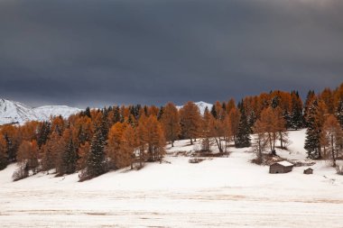 Alpe di Siusi 'deki karlı kış manzarası. Dolomitler, İtalya - kış tatilleri 