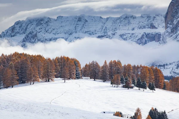 Śnieżny Wczesnozimowy Krajobraz Alpe Siusi Dolomity Włochy Zimowy Wypoczynek — Zdjęcie stockowe