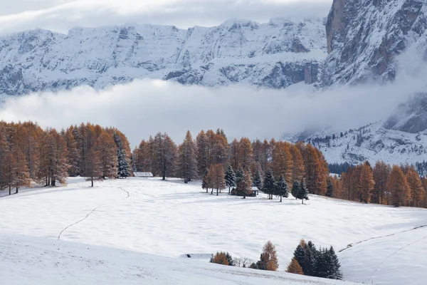 Nevado Início Inverno Paisagem Alpe Siusi Dolomites Itália Destino Férias — Fotografia de Stock