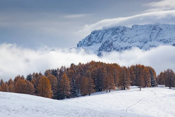 Havas Kora Téli Táj Alpe Siusi Dolomitok Olaszország Téli Üdülőhelyek — Stock Fotó