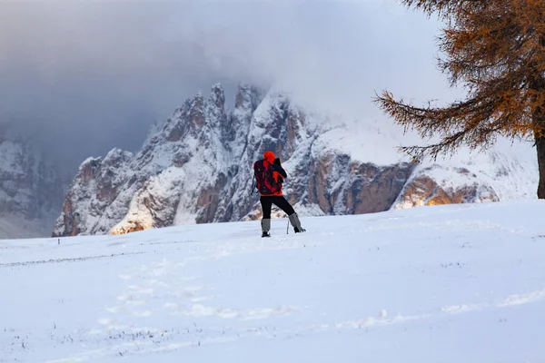 Besneeuwd Vroeg Winterlandschap Alpe Siusi Dolomieten Italië Wintervakantie Bestemming — Stockfoto