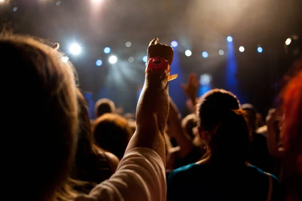 Multidão Concerto Festival Música Verão — Fotografia de Stock