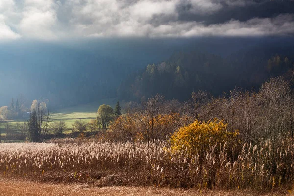 Красивый Осенний Рассвет Горах — стоковое фото
