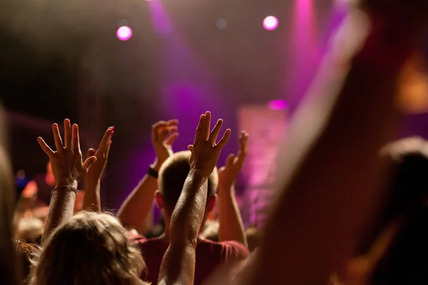 Menigte Concert Zomer Muziekfestival — Stockfoto