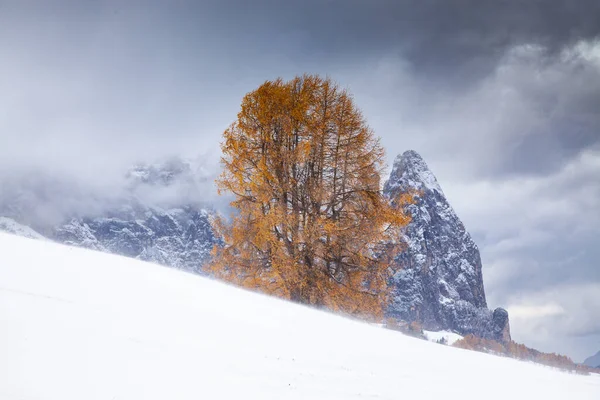 Havas Kora Téli Táj Alpe Siusi Dolomitok Olaszország Téli Üdülőhelyek — Stock Fotó