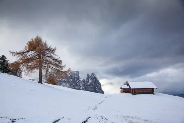 Zasněžená Raná Zimní Krajina Alpe Siusi Dolomity Itálie Zimní Prázdniny — Stock fotografie