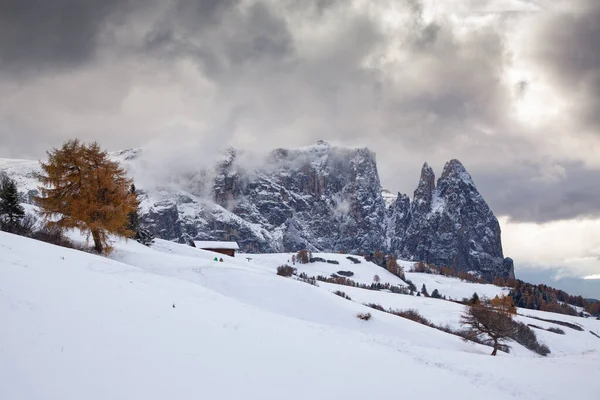 Alpe Siusi Deki Karlı Kış Manzarası Dolomitler Talya Kış Tatilleri — Stok fotoğraf