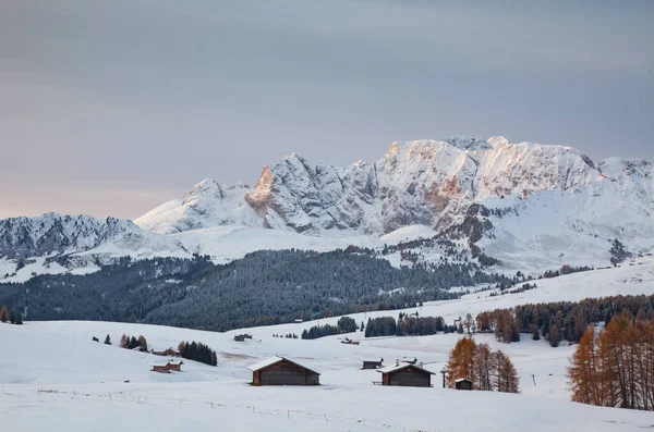 Havas Kora Téli Táj Alpe Siusi Dolomitok Olaszország Téli Üdülőhelyek — Stock Fotó
