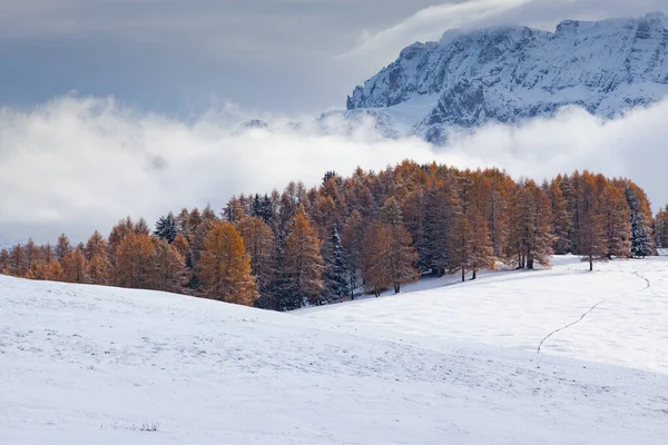 Havas Kora Téli Táj Alpe Siusi Dolomitok Olaszország Téli Üdülőhelyek — Stock Fotó