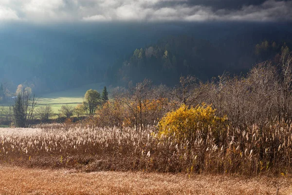 Hermoso Amanecer Otoño Las Montañas — Foto de Stock