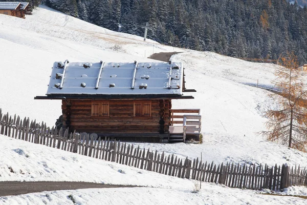 Nevado Paisaje Invierno Temprano Alpe Siusi Dolomitas Italia Destino Vacaciones —  Fotos de Stock