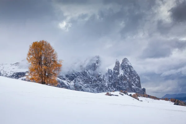 Paesaggio Nevoso All Inizio Dell Inverno Alpe Siusi Dolomiti Italia — Foto Stock