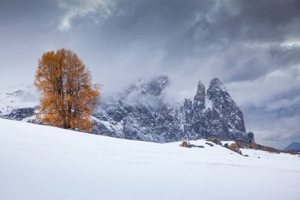 Verschneite Frühwinterlandschaft Auf Der Seiser Alm Dolomiten Italien Winterurlaubsziel — Stockfoto