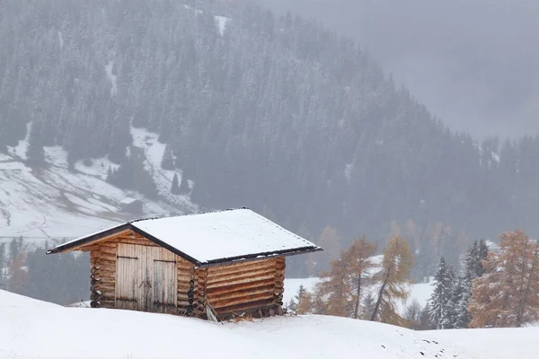 Nevado Início Inverno Paisagem Alpe Siusi Dolomites Itália Destino Férias — Fotografia de Stock