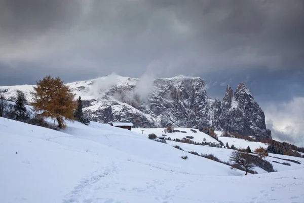 Alpe Siusi Deki Karlı Kış Manzarası Dolomitler Talya Kış Tatilleri — Stok fotoğraf