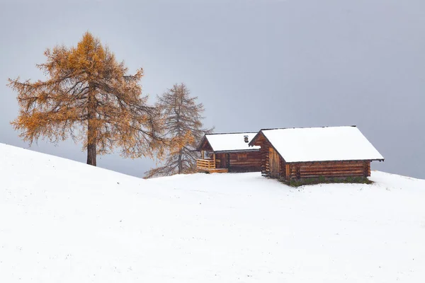 Verschneite Frühwinterlandschaft Auf Der Seiser Alm Dolomiten Italien Winterurlaubsziel — Stockfoto