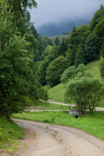 Piccolo Villaggio Montagna Magura Romania — Foto Stock