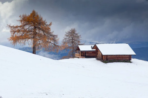 Alpe Siusi Deki Karlı Kış Manzarası Dolomitler Talya Kış Tatilleri — Stok fotoğraf