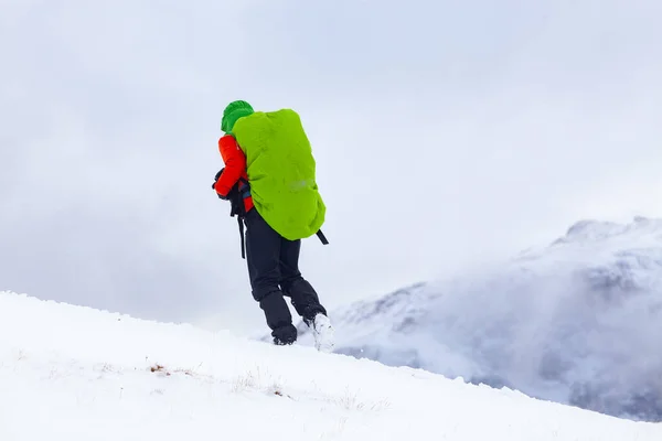 Trekking Besneeuwd Winterlandschap — Stockfoto