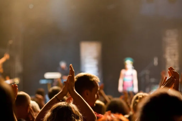 Multidão Concerto Festival Música Verão — Fotografia de Stock