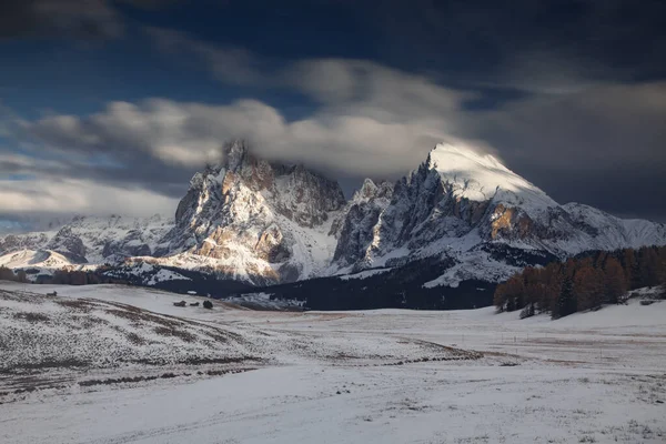 Zasněžená Raná Zimní Krajina Alpe Siusi Dolomity Itálie Zimní Prázdniny — Stock fotografie