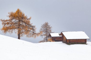 Alpe di Siusi 'deki karlı kış manzarası. Dolomitler, İtalya - kış tatilleri 