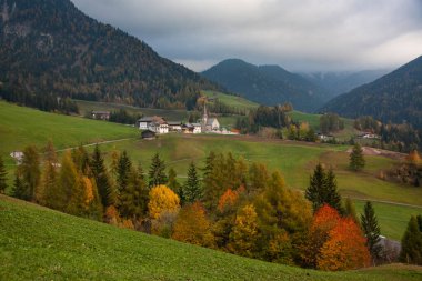 Dağlarda güzel doğalı bir köy.