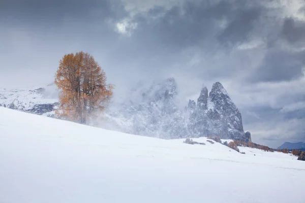 Snowy Early Winter Landscape Alpe Siusi Dolomites Italy Winter Holidays — Stock Photo, Image