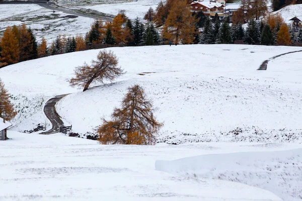 Alpe Siusi Deki Karlı Kış Manzarası Dolomitler Talya Kış Tatilleri — Stok fotoğraf