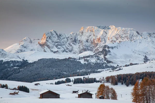 Alpe Siusi Deki Karlı Kış Manzarası Dolomitler Talya Kış Tatilleri — Stok fotoğraf