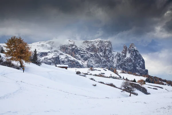 Havas Kora Téli Táj Alpe Siusi Dolomitok Olaszország Téli Üdülőhelyek — Stock Fotó