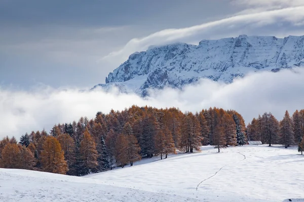 Zasněžená Raná Zimní Krajina Alpe Siusi Dolomity Itálie Zimní Prázdniny — Stock fotografie