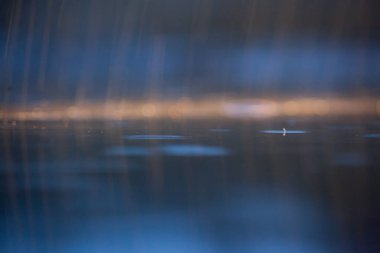 Yağmur arka planı gece aydınlandı - yavaş çekim