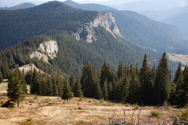 Dağları ve ormanı olan güzel bir manzara.