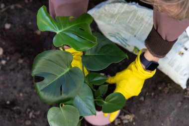 Canavar yetiştirme, bitki yetiştirme, bahçe işleri.