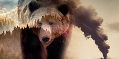 Yeşil ormanı ve vahşi yaşamı kaplayan fabrika dumanı küresel ısınma iklim değişikliğini iki katına çıkarıyor