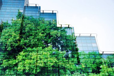 yeşil şehir - yemyeşil orman ve modern gökdelenlerin pencerelerinin iki katı